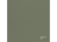 Green Fern - Bohemian