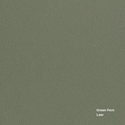 Green Fern - Bohemian