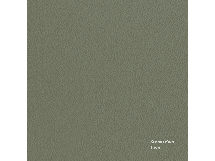 Green Fern - Bohemian